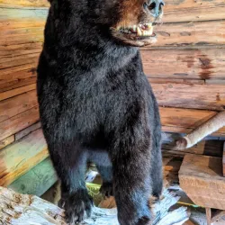 Heritage Park - Terrace