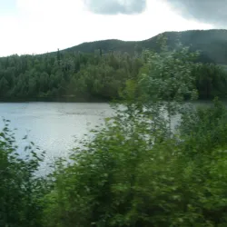 Skeena River - Terrace