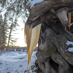 Skeena River - Terrace