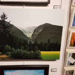 Terrace Art Gallery - Terrace