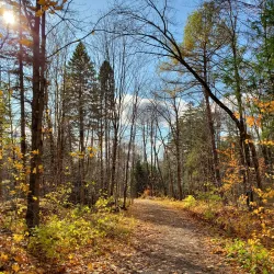 Parc des Moulins - Thetford Mines