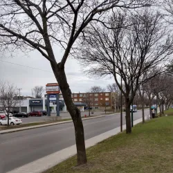 Parc Raymond - Thetford Mines