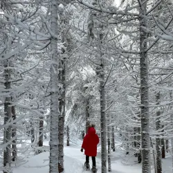 Sentier des Caps de Charlevoix - Thetford Mines