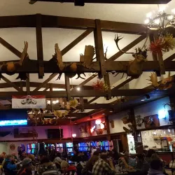 Northern Manitoba Trappers' Festival - Thompson