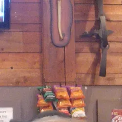 Northern Manitoba Trappers' Festival - Thompson