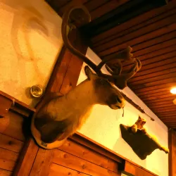 Northern Manitoba Trappers' Festival - Thompson