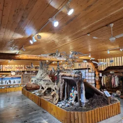 Thompson Museum - Thompson