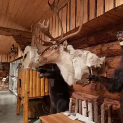 Thompson Museum - Thompson