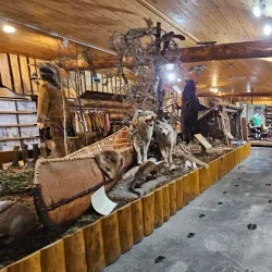 Thompson Museum - Thompson