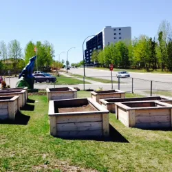 Wapanohk Community Centre - Thompson