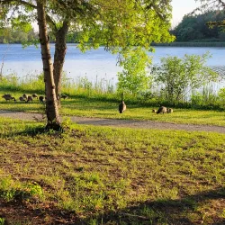 Chippawa Creek Conservation Area - Thorold