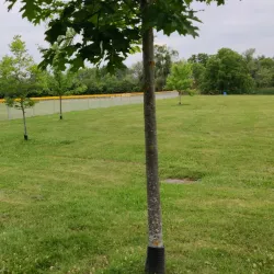 Port Robinson Conservation Area - Thorold