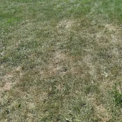 Port Robinson Conservation Area - Thorold