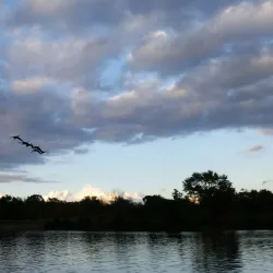 Port Robinson Conservation Area - Thorold