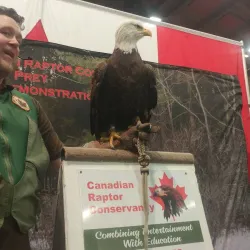 Thorold Community Arena - Thorold