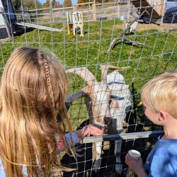 Thorold Farmers' Market - Thorold