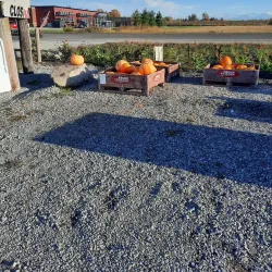 Thorold Farmers' Market - Thorold