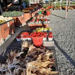 Thorold Farmers' Market - Thorold
