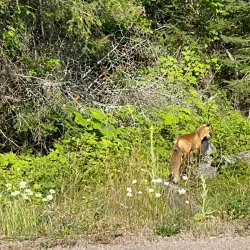 Sleeping Giant Provincial Park - Thunder Bay
