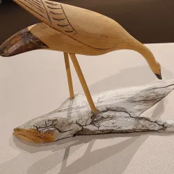 Thunder Bay Art Gallery - Thunder Bay