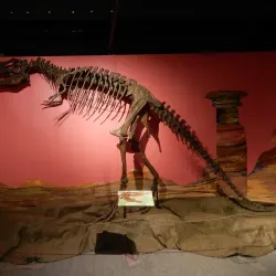 Thunder Bay Museum - Thunder Bay