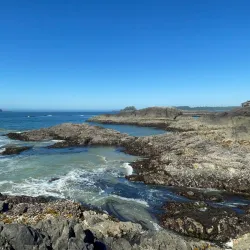 Chesterman Beach - Tofino