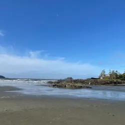 Chesterman Beach - Tofino