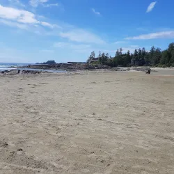 Chesterman Beach - Tofino