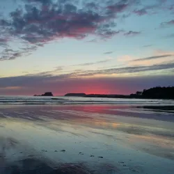 Chesterman Beach - Tofino