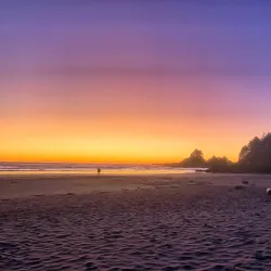 Chesterman Beach - Tofino