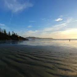 Chesterman Beach - Tofino