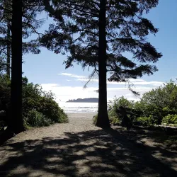 Chesterman Beach - Tofino