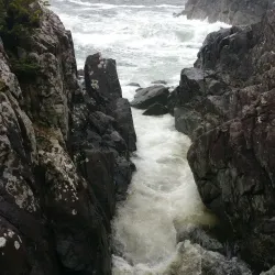 Hot Springs Cove - Tofino