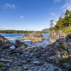 Hot Springs Cove - Tofino