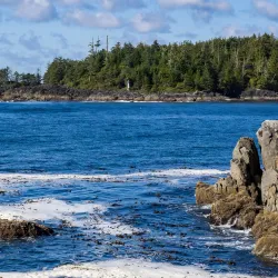 Hot Springs Cove - Tofino