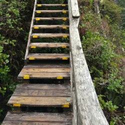 Hot Springs Cove - Tofino