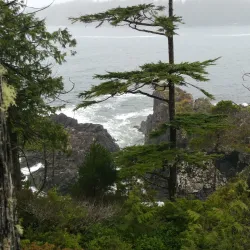 Hot Springs Cove - Tofino