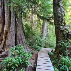 Pacific Rim National Park Reserve - Tofino
