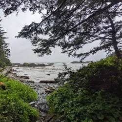 Pacific Rim National Park Reserve - Tofino