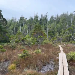 Pacific Rim National Park Reserve - Tofino