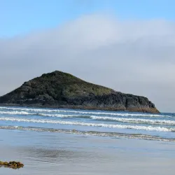 Pacific Rim National Park Reserve - Tofino