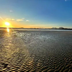 Pacific Rim National Park Reserve - Tofino