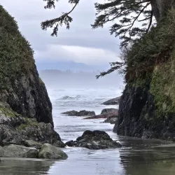 Pacific Rim National Park Reserve - Tofino