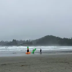 Surfing in Tofino - Tofino