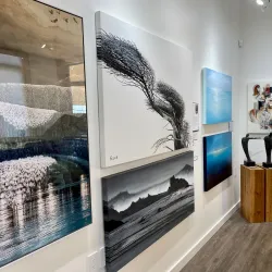 Tofino Art Galleries - Tofino
