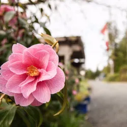 Tofino Botanical Gardens - Tofino
