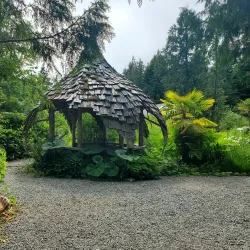 Tofino Botanical Gardens - Tofino