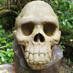 Tofino Botanical Gardens - Tofino