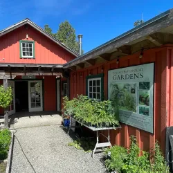 Tofino Botanical Gardens - Tofino