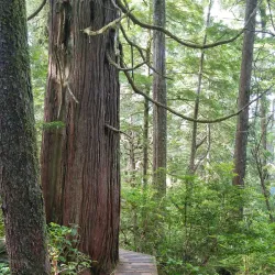 Tofino Botanical Gardens - Tofino